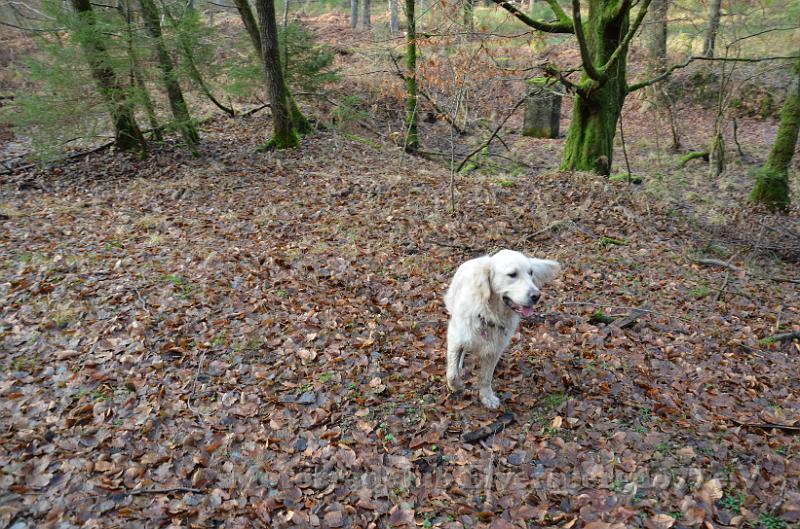 Wandertag 2013 - 018.JPG